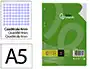 RECAMBIO LIDERPAPEL CUARTO 100HOJAS 60G/M2 CUADRO 4MM CON MARGEN 6 TALADROS